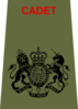 ACF Cadet Rank Slide RSM.png