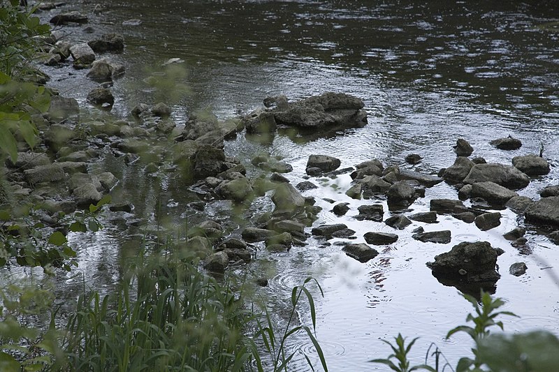 File:AFTER THE STORM - ON THE BANKS OF THE DODDER (518624133).jpg