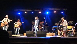 AG Flek během koncertu, 2015
