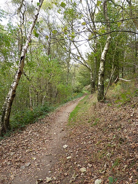 File:A hillside bridleway - geograph.org.uk - 2668473.jpg