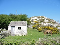 Ein Stall und ein älteres Pferd bei Bodafon - geograph.org.uk - 420442.jpg