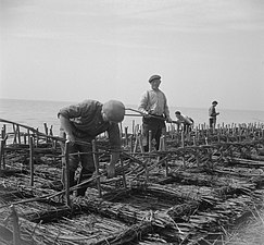 Vervaardiging zinkstuk (Flevoland, 1950)