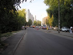 Akademika Kostycheva Street, Kyiv (2).jpg