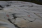 English: Rock art in the world heritage area in Alta, Norway. This is from the area Bergbukten 1, a group of some 900 figures. 23-25 m above sea level, and 6000-7000 years old.