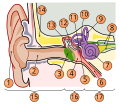 With numbers for description