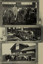 Thumbnail for File:Annual catalogue of the Agricultural College of the State of Oregon for and announcements for (1904) (14782364724).jpg