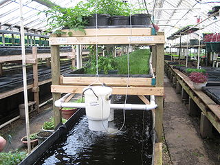 AQUAPONICS // Image courtesy ryan griffis https://secure.flickr.com ...