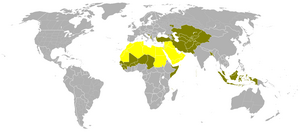 Страни, в които арабите са мнозинство (в жълто). Съпоставено със страните и регионите където мнозинството от населението изповядва ислям.