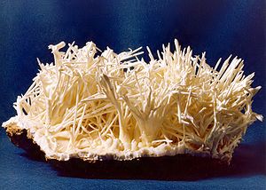 Mineral: Estructura cristal·lina, Propietats físiques, Classificació