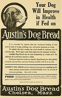 Austin's dog bread advertisement 1908.jpg