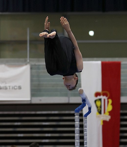 File:Austrian Future Cup 2018-11-23 Training Afternoon Parallel bars (Martin Rulsch) 0061.jpg