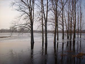 Biała Podlaska: Poloha, Historie, Ekonomika