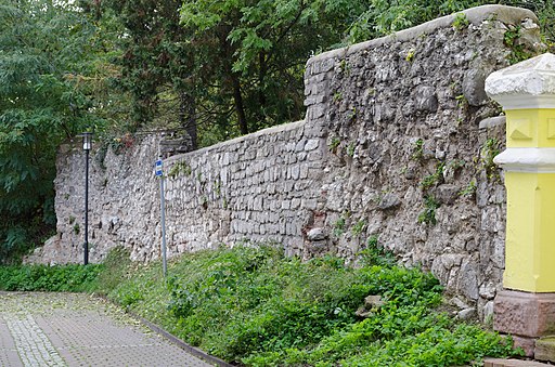 Bad Frankenhausen, Stadtmauer, Brauhausgasse-20151023-001