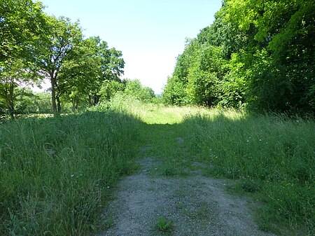 Bahnstrecke Bernterode (Schacht)4