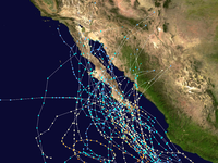 Paths of all hurricanes to hit the peninsula from 1949-2000