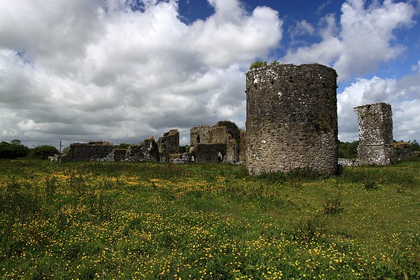 Ballybeg Priory, founded in 1229 by Philip de Barry for the Canons Regular of St Augustine