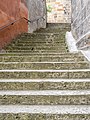 * Nomination Stairs behind the Upper Parish Church in Bamberg --Ermell 09:48, 8 April 2022 (UTC) * Promotion Good quality. --Imehling 09:58, 15 April 2022 (UTC)