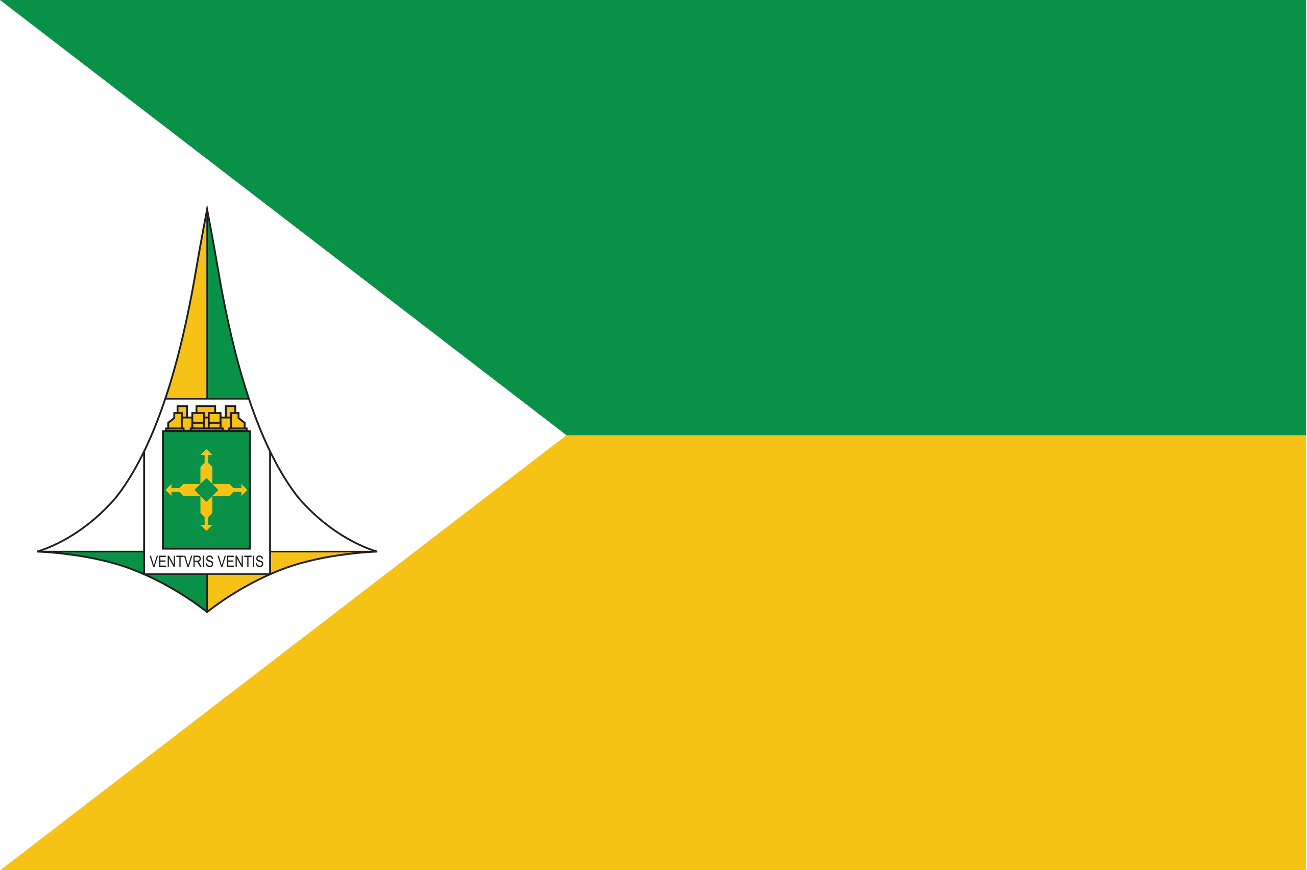 File:Bandeira do governador do Distrito Federal (Brasil).svg