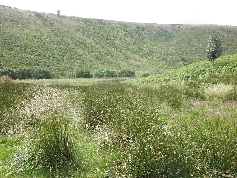 File:Barle Valley, near Cow Castle - geograph.org.uk - 3055098.jpg