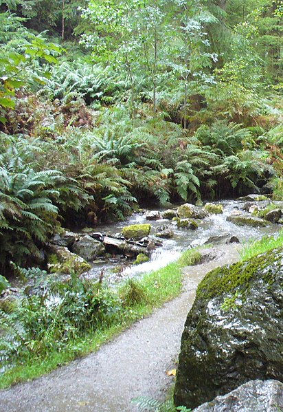 File:Beck in Dodd Wood - geograph.org.uk - 2311296.jpg