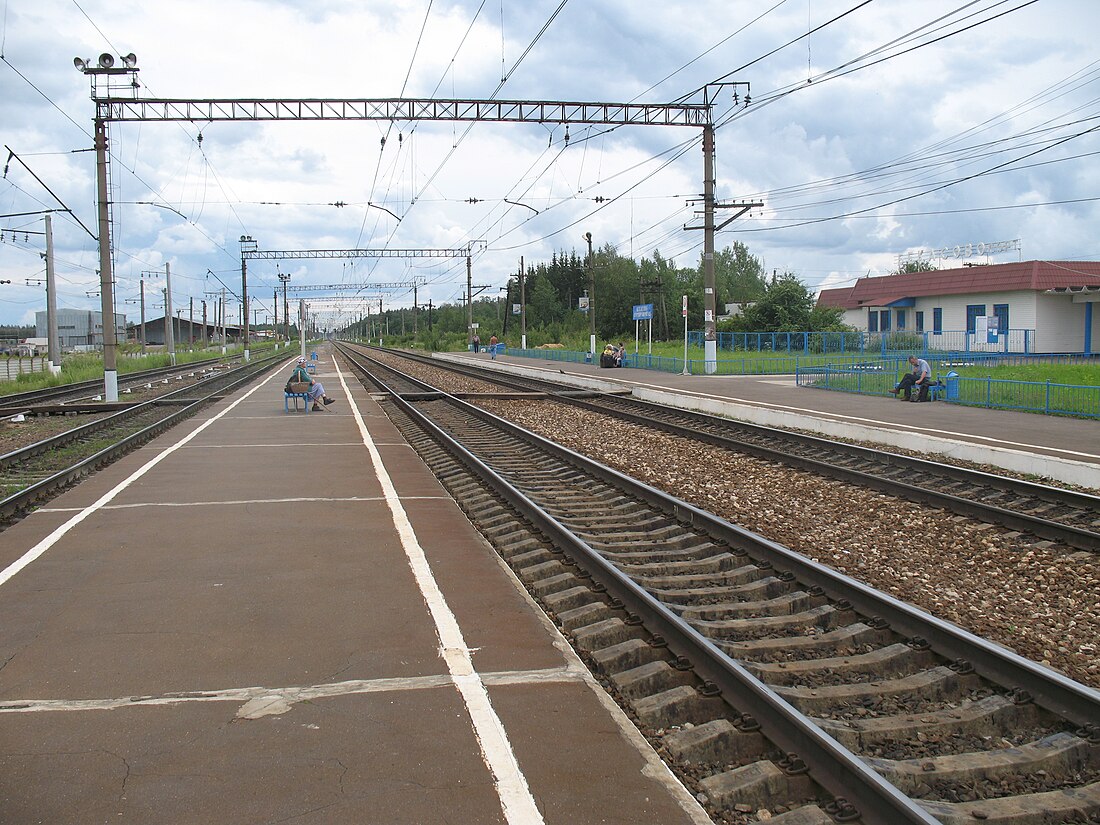 File:Bekasovo-Sortirovochnoe passenger station (common view).JPG