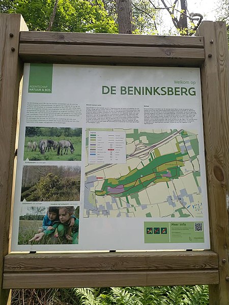 File:Beninksberg.jpg