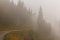 * Nomination Mountain trip from Tschiertschen (1350 meters) via Ruchtobel to Löser (1680 meter). The mist is lifting. --Agnes Monkelbaan 05:40, 22 November 2017 (UTC) * Promotion Pretty. -- Ikan Kekek 05:51, 22 November 2017 (UTC)