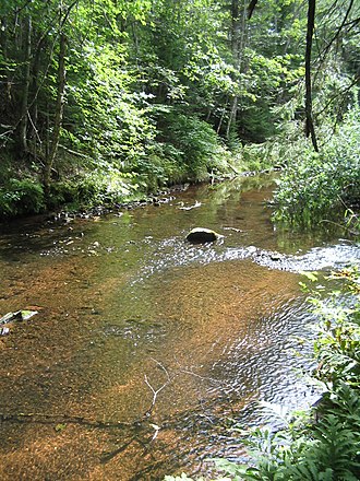 A river coursing through Bloomfield Provincial Park Bloomfield Provincial Park IMG 8258 (1848226201).jpg