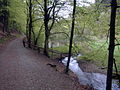 Deserto de Hammer, Obergraben, Hammerteich "Burgholzhammer"