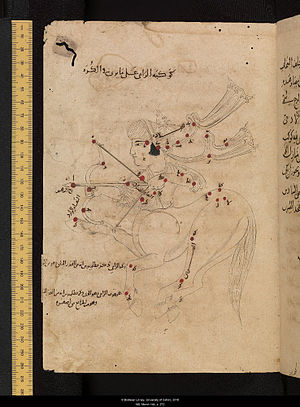 Book of the Fixed Stars Auv0280 Sagittarius.jpg