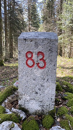 83 (plus de photos)