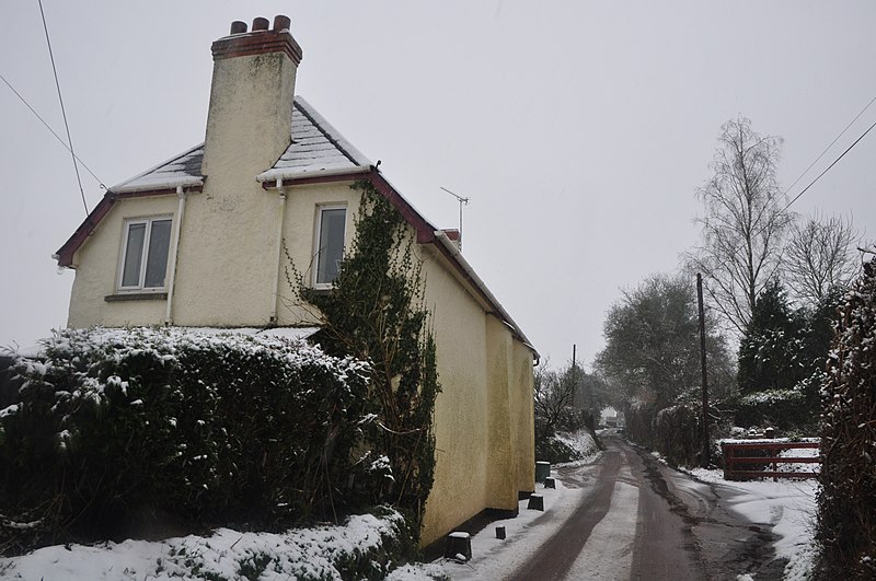 File:Brithem Bottom , Road ^ Lower Beers Cottage - geograph.org.uk - 3307482.jpg