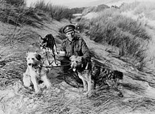 British messenger dogs with their handler, World War I British messenger dogs with their handler, France, during World War I (2957940591).jpg