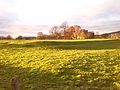 Image 57The banks of Brocavum Roman fort in the foreground; Brougham Castle is in the background (from History of Cumbria)