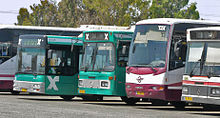 tourist israel bus