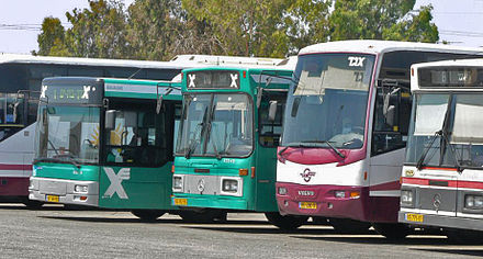 Israeli buses with several types of coloring