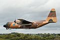 C-130 Hercules - RIAT 2016 (32760253673).jpg
