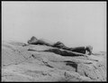 CCC boy, asleep, Bar Harbor, Mt. Desert Island, Maine LCCN2004663787.tif