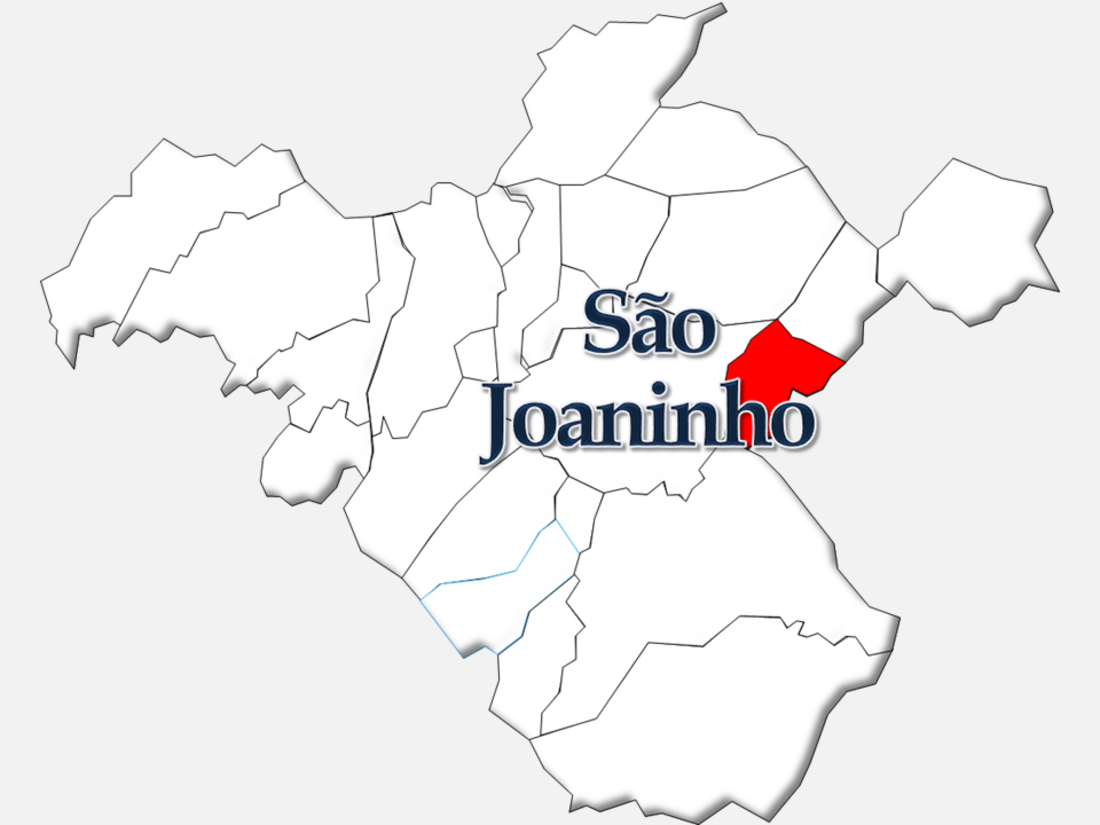 São Joaninho (Castro Daire)