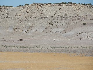 <span class="mw-page-title-main">Cedar Mountain Formation</span>