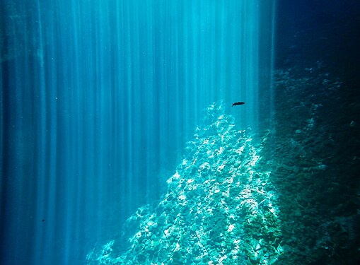 Light rays piercing the Cenote Kankirixché, Mexico.