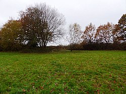 Centenary Fields (5).jpg