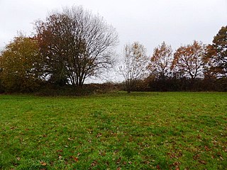 Centenary Fields