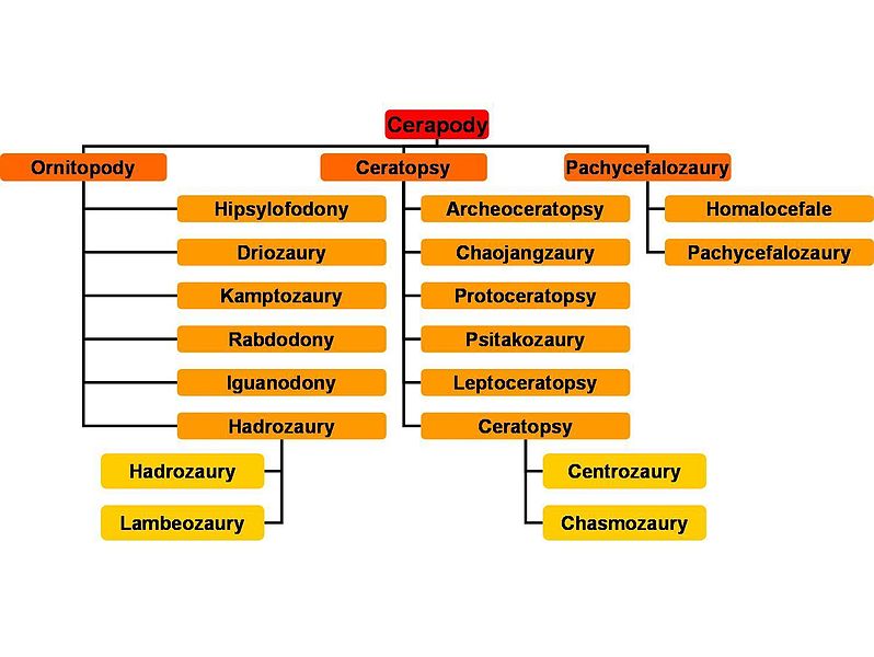 File:Cerapody.jpg