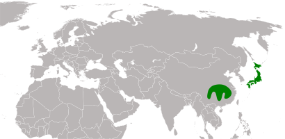 File:Cercidiphyllaceae distribution.svg