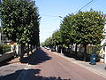 English: A street in Champs-sur-Marne, Seine-et-Marne, France. Français : Une rue de Champs-sur-Marne, Seine-et-Marne, France