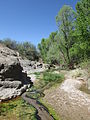 View of Ciénega Creek, at the Ciénega Creek Natural Preserve