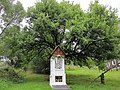 English: The old chapel in the cisowiec village Polski: Kapliczka we wsi Cisowiec