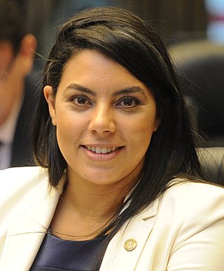 <span class="mw-page-title-main">Claudia Pereira</span> Brazilian politician
