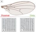 Thumbnail for version as of 06:36, 14 December 2022